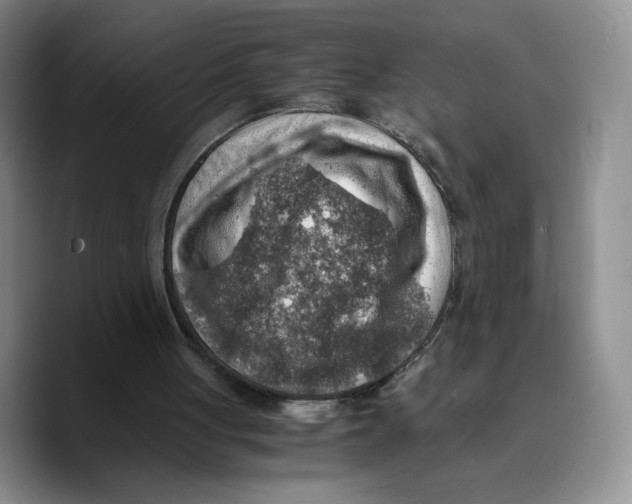 X0000089670051200707201647