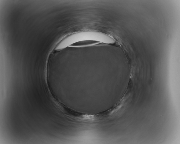 X0000089670052200707201647
