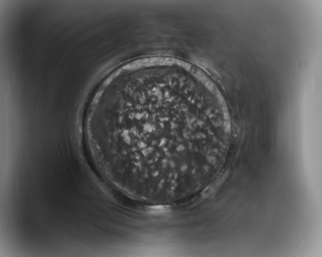 X0000089670053200707201647