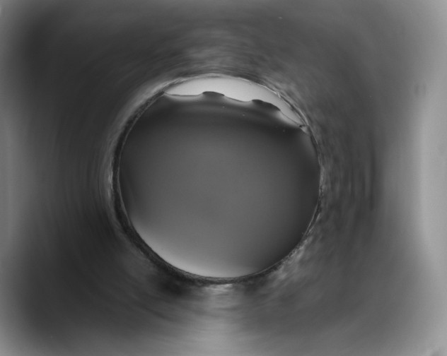 X0000089670054200707201648