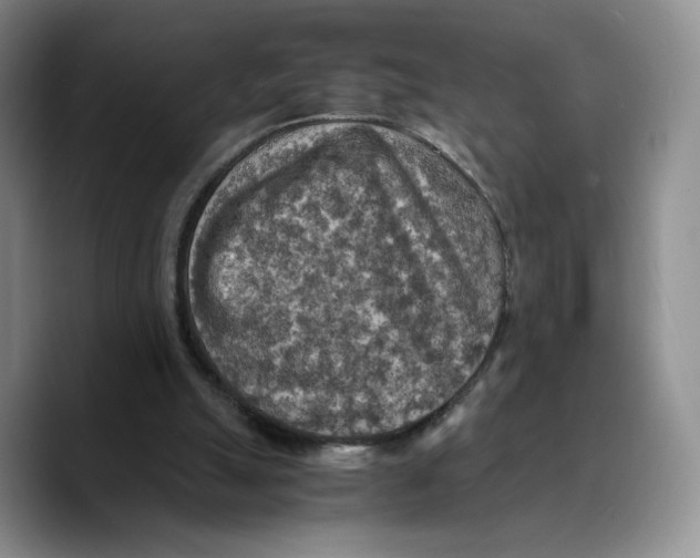 X0000089670055200707201648