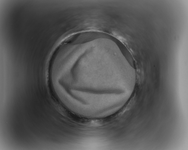 X0000089670056200707201648