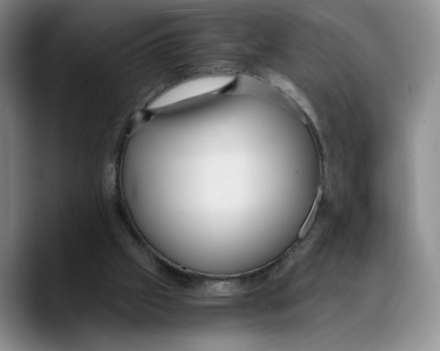 X0000089670057200707201648