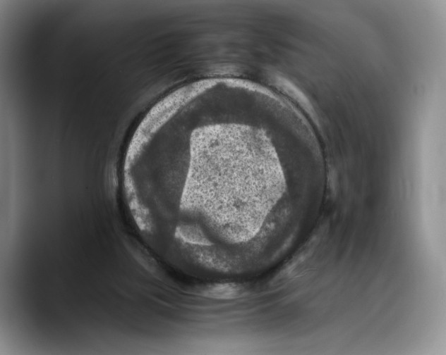 X0000089670059200707201648