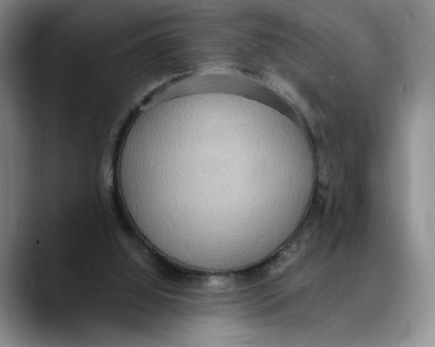 X0000089670060200707201648