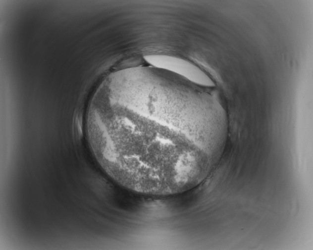X0000089670062200707201648