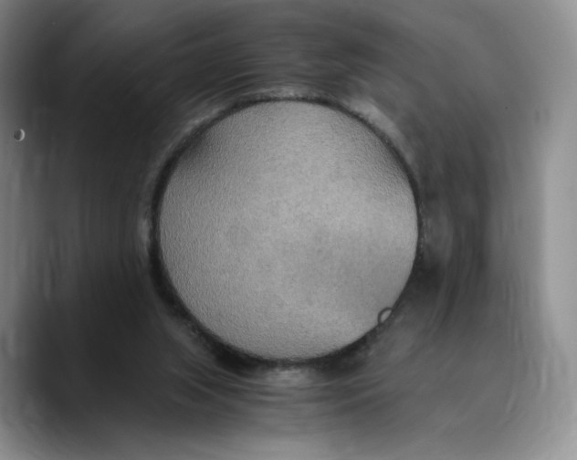 X0000089670063200707201648