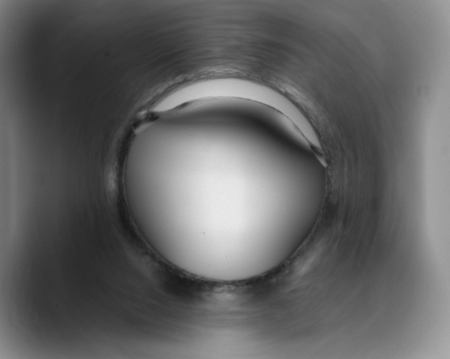 X0000089670064200707201648
