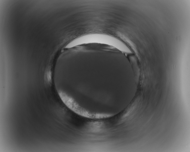 X0000089670067200707201648