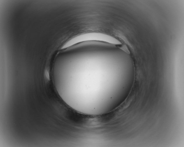 X0000089670068200707201648