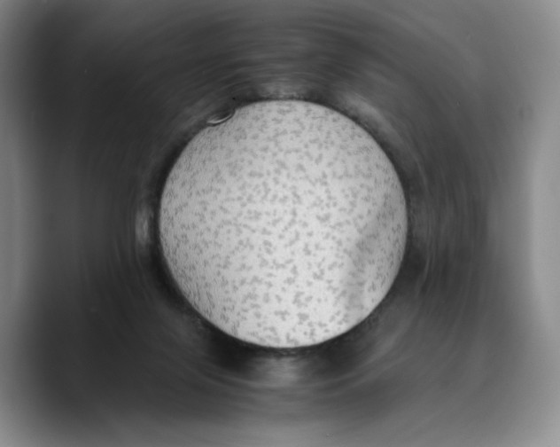 X0000089670071200707201648