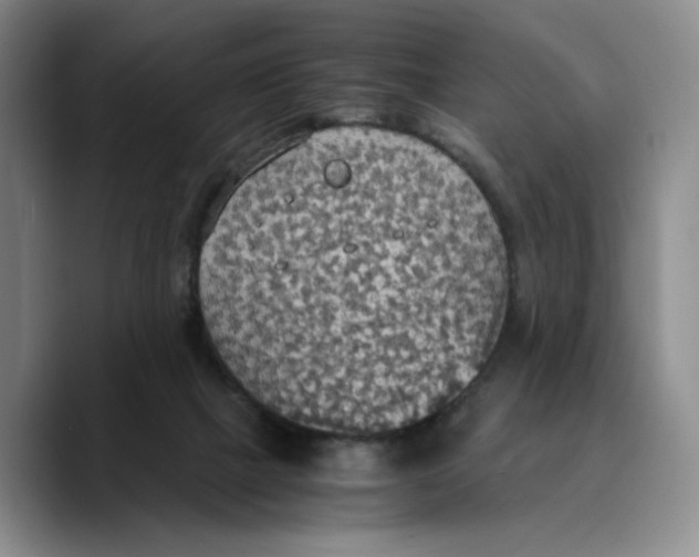 X0000089670073200707201648