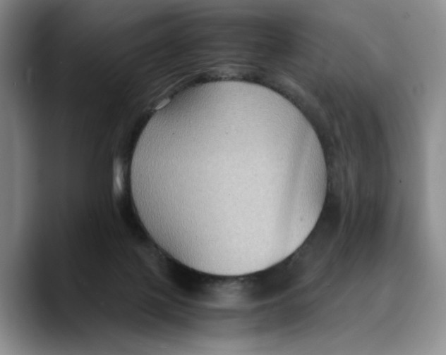 X0000089670075200707201648