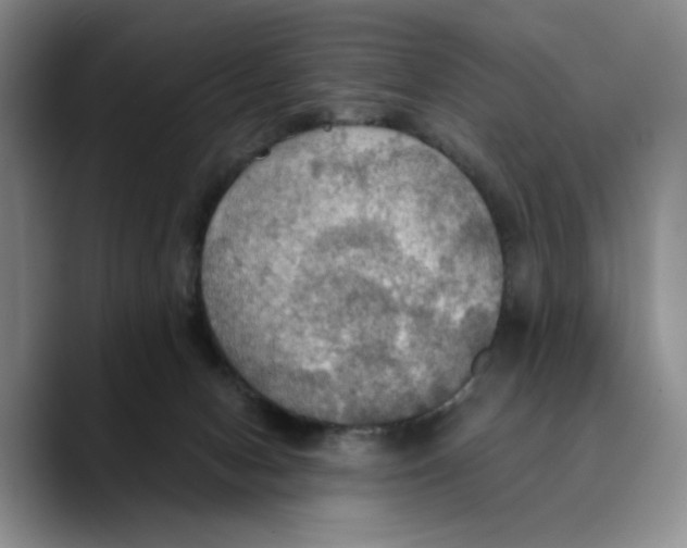 X0000089670078200707201648