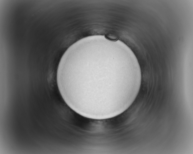 X0000089670079200707201648