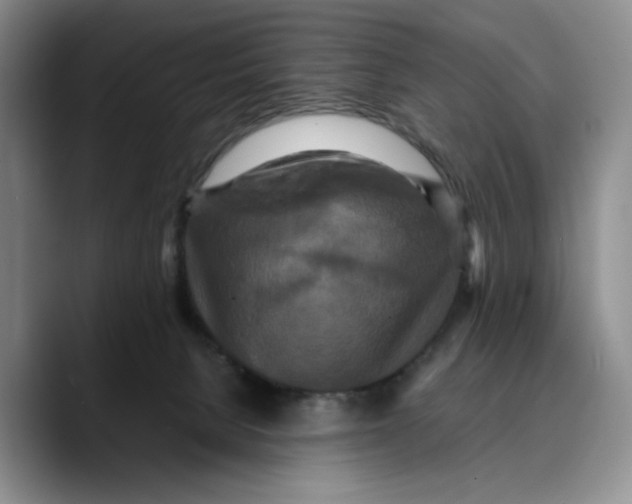 X0000089670080200707201648