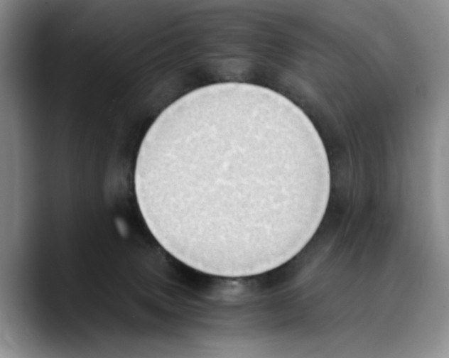 X0000089670083200707201648