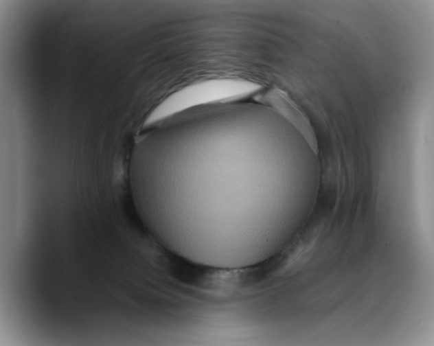 X0000089670084200707201648