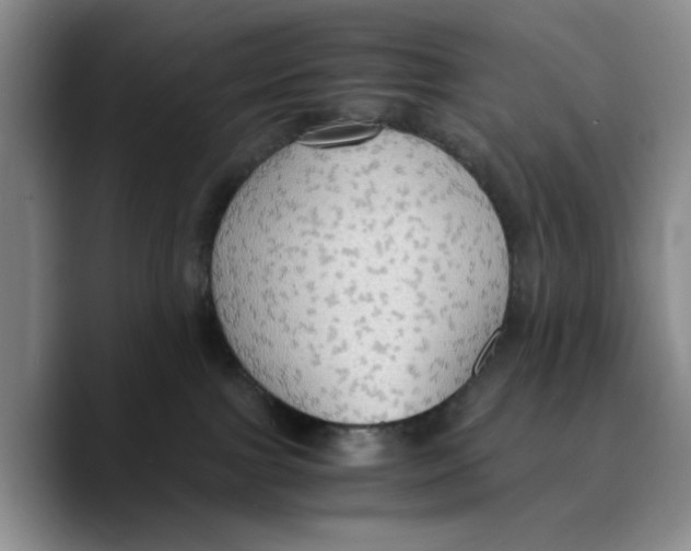 X0000089670091200707201648