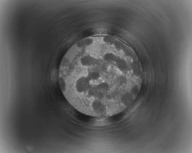 X0000089670093200707201648
