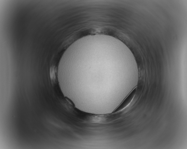 X0000089670094200707201648
