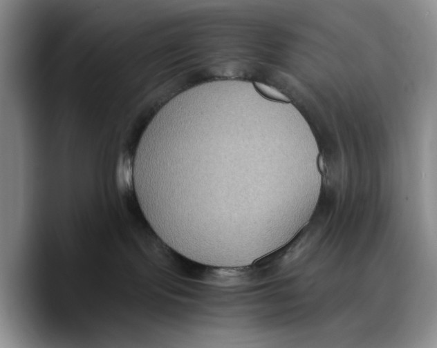 X0000089670095200707201648