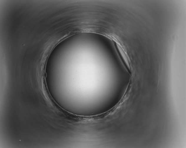 X0000089670097200707201647