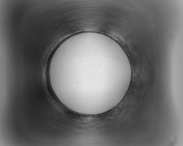 X0000089670098200707201647