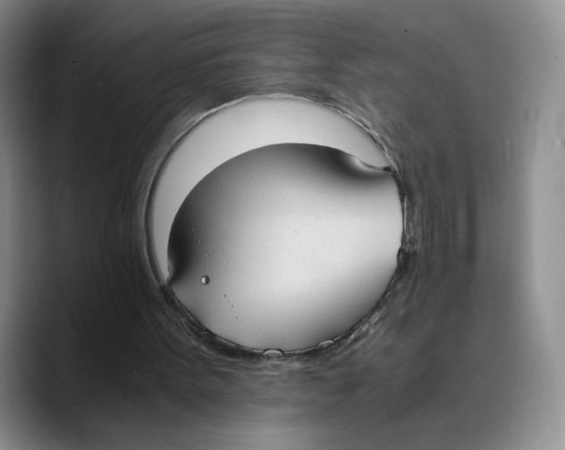 X0000089670099200707201647
