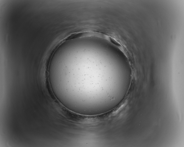 X0000089670101200707201647
