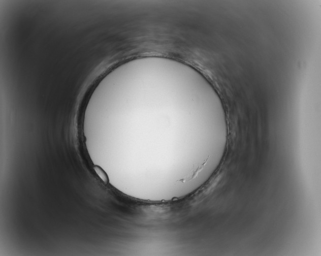 X0000089670102200707201647