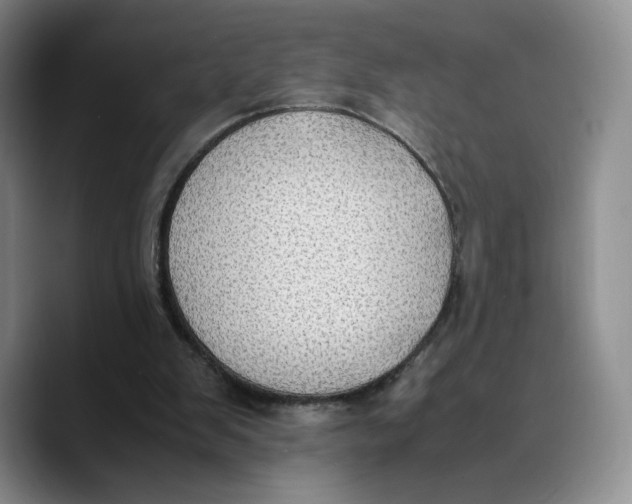 X0000089670103200707201647