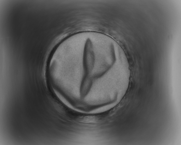 X0000089670104200707201647
