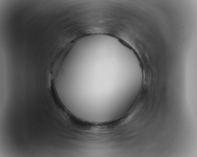 X0000089670109200707201647