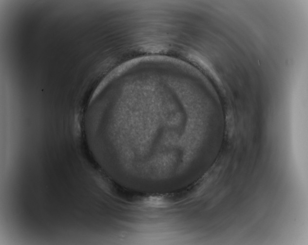 X0000089670114200707201647