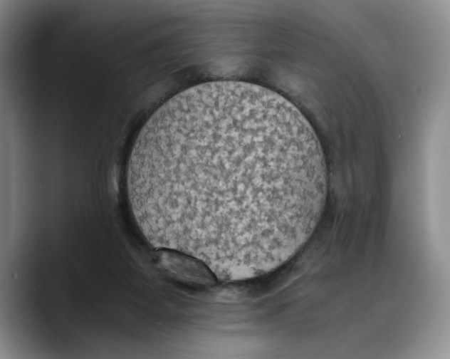 X0000089670115200707201647