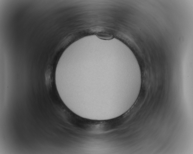 X0000089670116200707201647