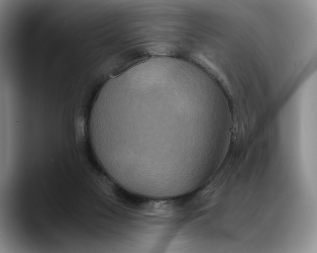 X0000089670117200707201647
