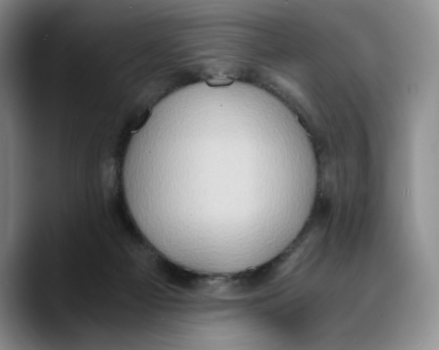 X0000089670121200707201647