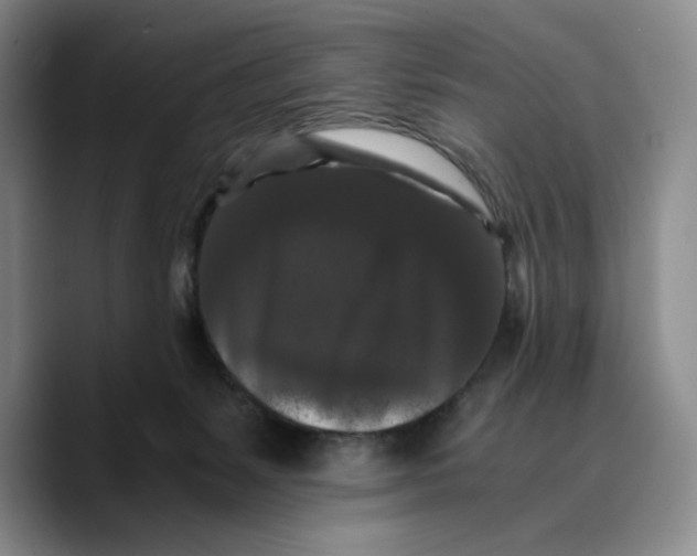 X0000089670127200707201647