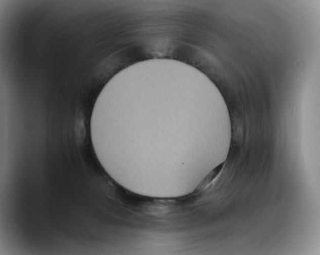 X0000089670128200707201647