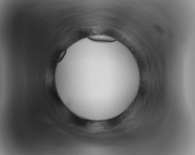 X0000089670129200707201647