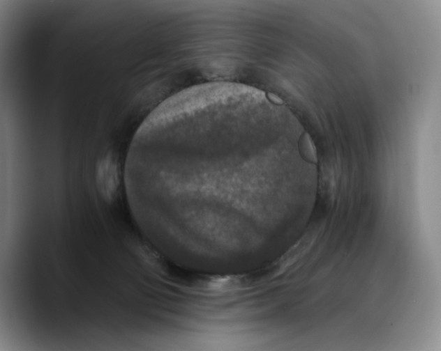 X0000089670130200707201647