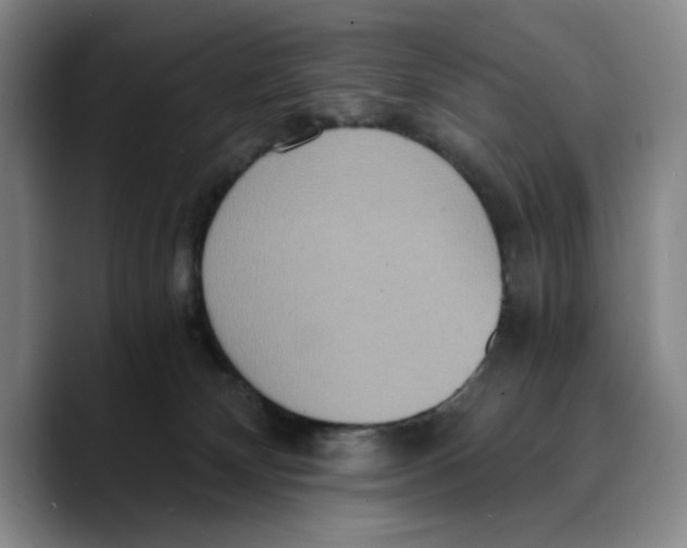 X0000089670132200707201647