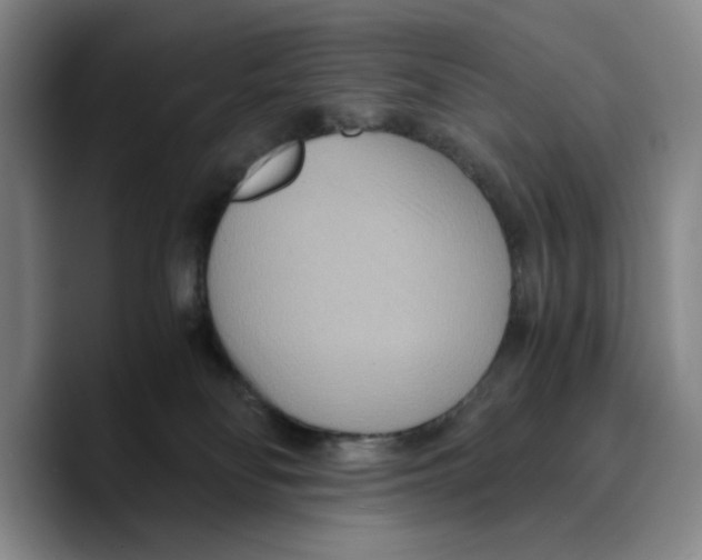 X0000089670134200707201647