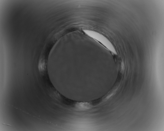 X0000089670137200707201647