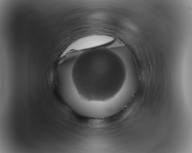 X0000089670139200707201647