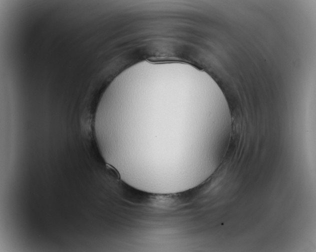 X0000089670141200707201647