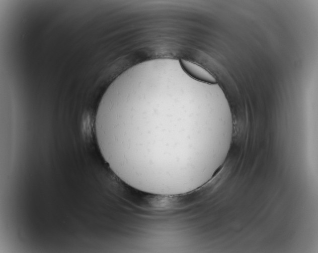 X0000089670142200707201647