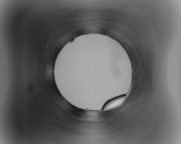 X0000089670144200707201647
